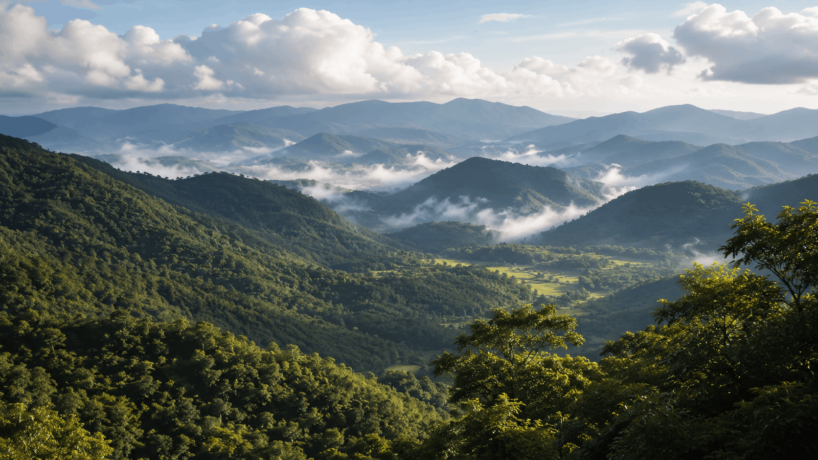 Misty mountain scenery in the Eastern Highlands