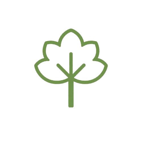 Dry Season icon
