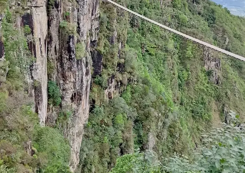 Suspended walkway crossing a deep green gorge