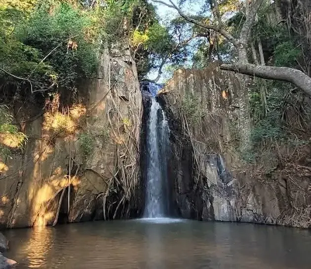 Waterfall cascading through a forested gorge