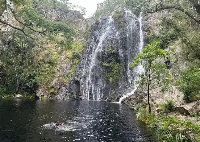Clear natural pool below a forest waterfall