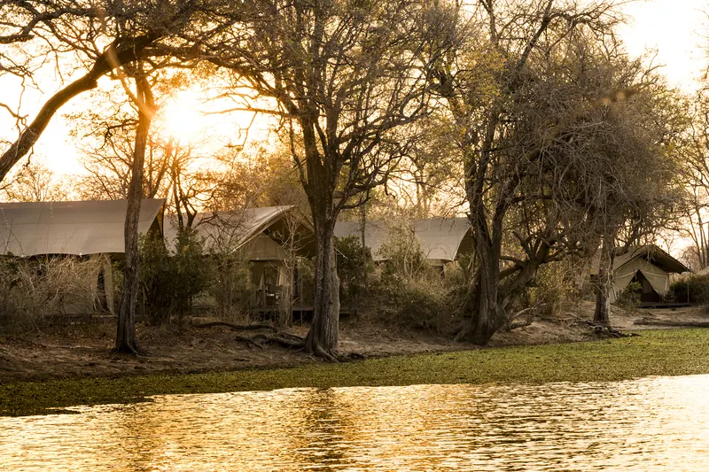 Safari tents beside water among trees in the evening light