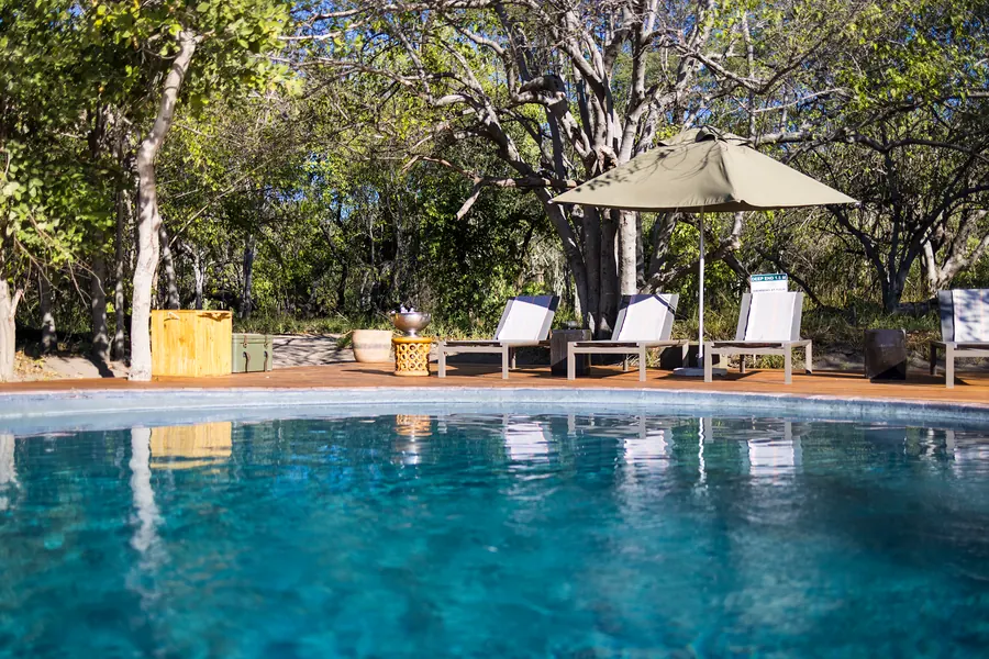 Swimming pool and shaded loungers in a safari camp