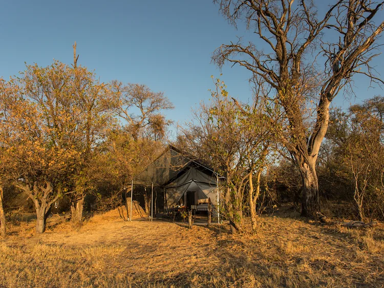 Canvas safari tent standing among trees in the afternoon light