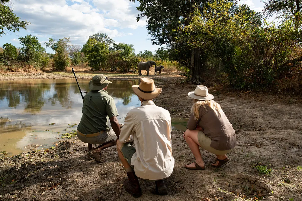 Safari visitors watch elephants at a waterhole from the shade