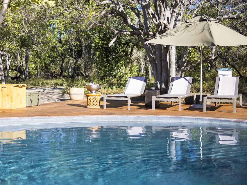 Swimming pool and sun loungers beneath trees at a safari camp