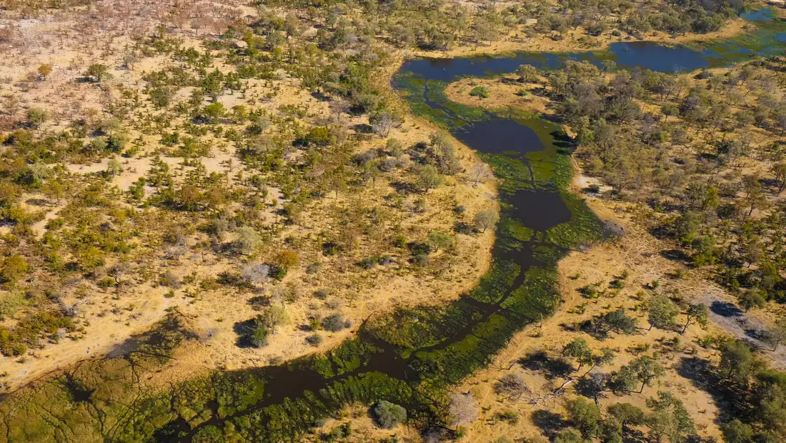 Aerial channels across green Okavango Delta islands