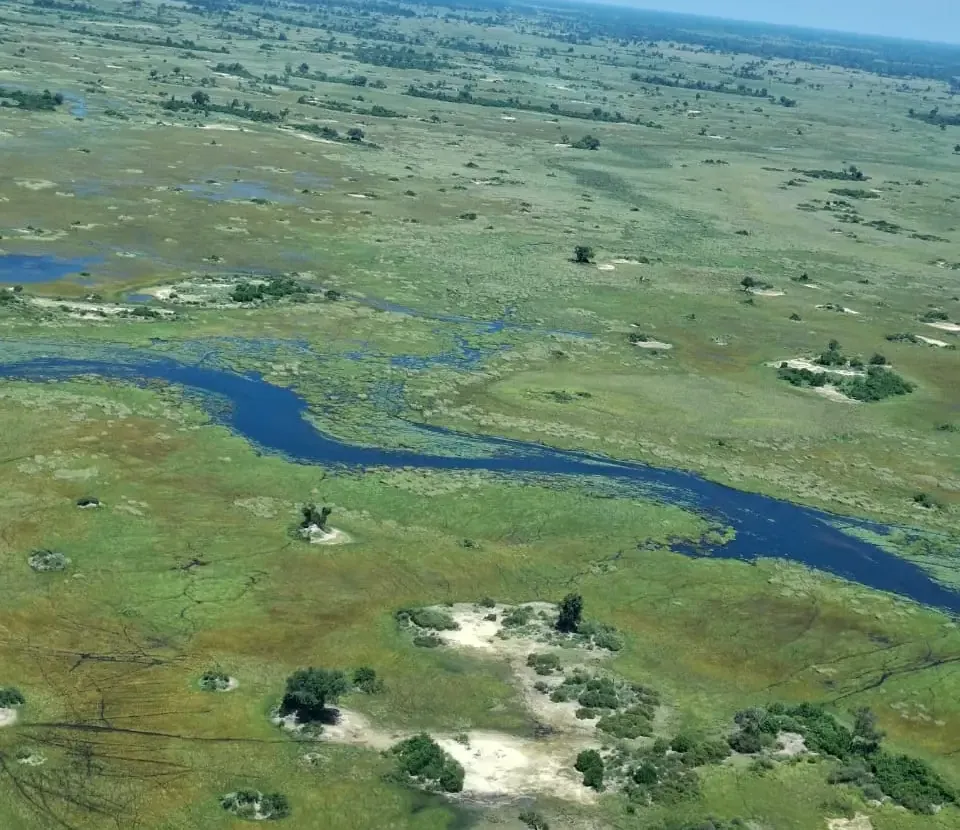 Aerial view of green islands and winding Delta channels