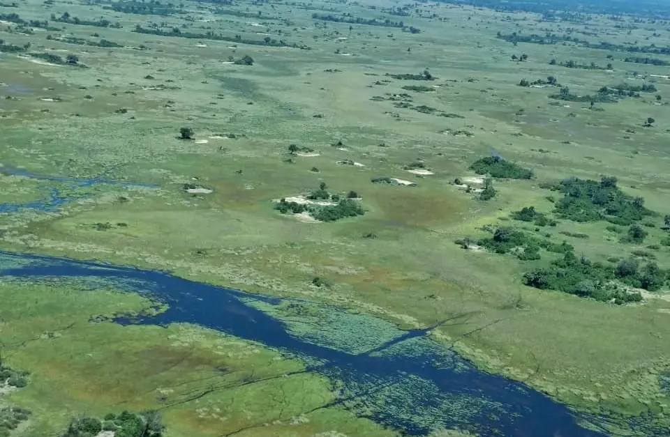 Aerial view of winding waterways and green Delta islands