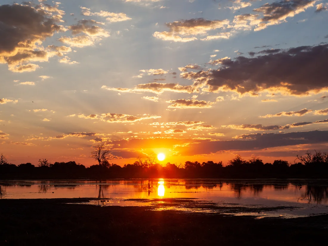 Sun setting over water and trees in the Okavango Delta
